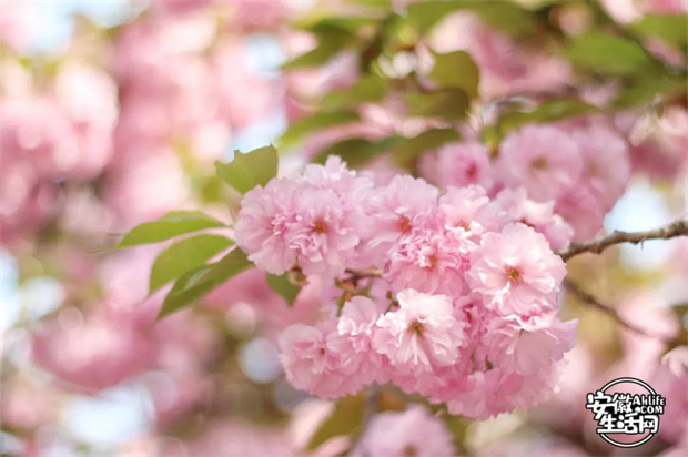 首页-suncitygroup太阳集团官方网站