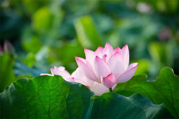 首页-suncitygroup太阳集团官方网站