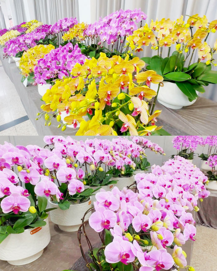 首页-suncitygroup太阳集团官方网站