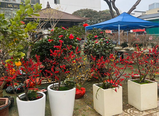 首页-suncitygroup太阳集团官方网站