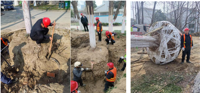 首页-suncitygroup太阳集团官方网站