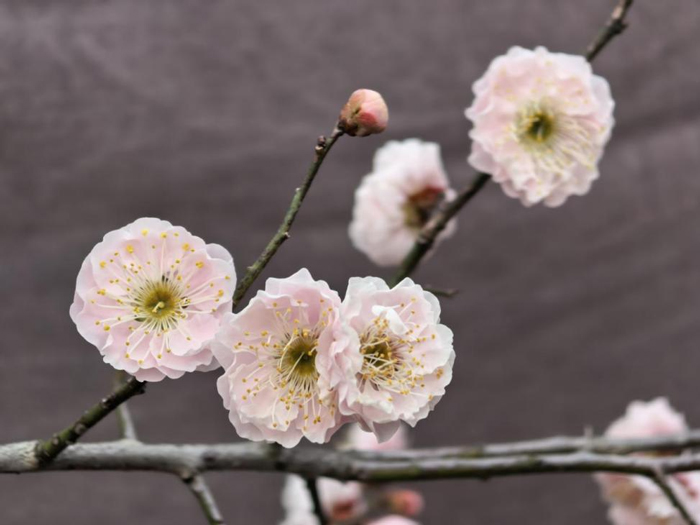 首页-suncitygroup太阳集团官方网站